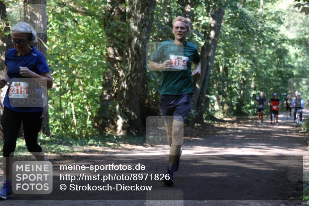 28.09.2025 - 33. Volkslauf durch das schöne Alstertal Strokosch-Dieckow http://msf.ph/oto/8971826 28.09.2025 12:22:54 Laufen 2315, 2194 meine-sportfotos.de