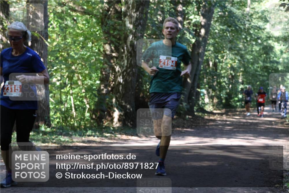 28.09.2025 - 33. Volkslauf durch das schöne Alstertal Strokosch-Dieckow http://msf.ph/oto/8971827 28.09.2025 12:22:54 Laufen 2315, 2194 meine-sportfotos.de