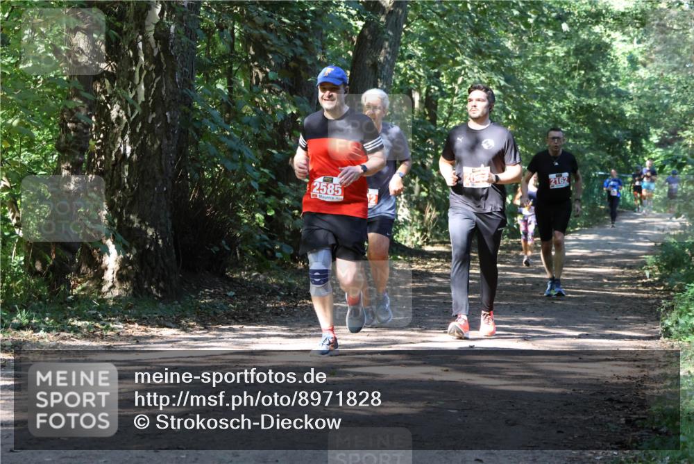 28.09.2025 - 33. Volkslauf durch das schöne Alstertal Strokosch-Dieckow http://msf.ph/oto/8971828 28.09.2025 12:23:04 Laufen 2585, 2162 meine-sportfotos.de