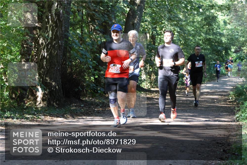 28.09.2025 - 33. Volkslauf durch das schöne Alstertal Strokosch-Dieckow http://msf.ph/oto/8971829 28.09.2025 12:23:04 Laufen 2585, 2162 meine-sportfotos.de