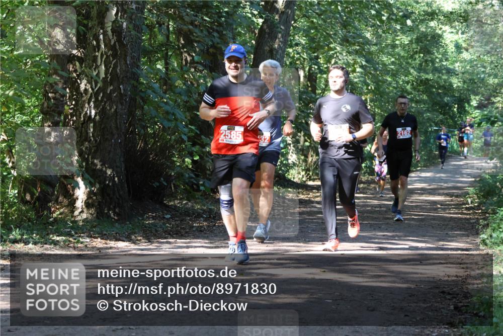 28.09.2025 - 33. Volkslauf durch das schöne Alstertal Strokosch-Dieckow http://msf.ph/oto/8971830 28.09.2025 12:23:04 Laufen 2585, 2162 meine-sportfotos.de