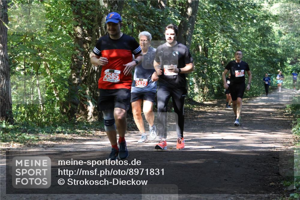 28.09.2025 - 33. Volkslauf durch das schöne Alstertal Strokosch-Dieckow http://msf.ph/oto/8971831 28.09.2025 12:23:05 Laufen 2585, 2432, 2162 meine-sportfotos.de