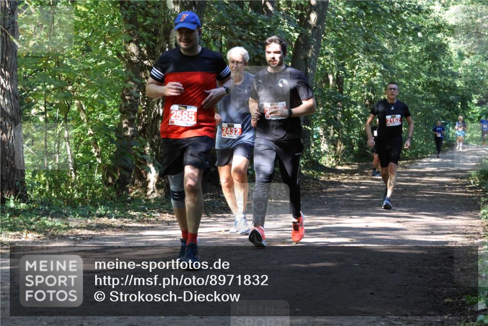 28.09.2025 - 33. Volkslauf durch das schöne Alstertal Strokosch-Dieckow http://msf.ph/oto/8971832 28.09.2025 12:23:05 Laufen 2585, 2432, 2162 meine-sportfotos.de