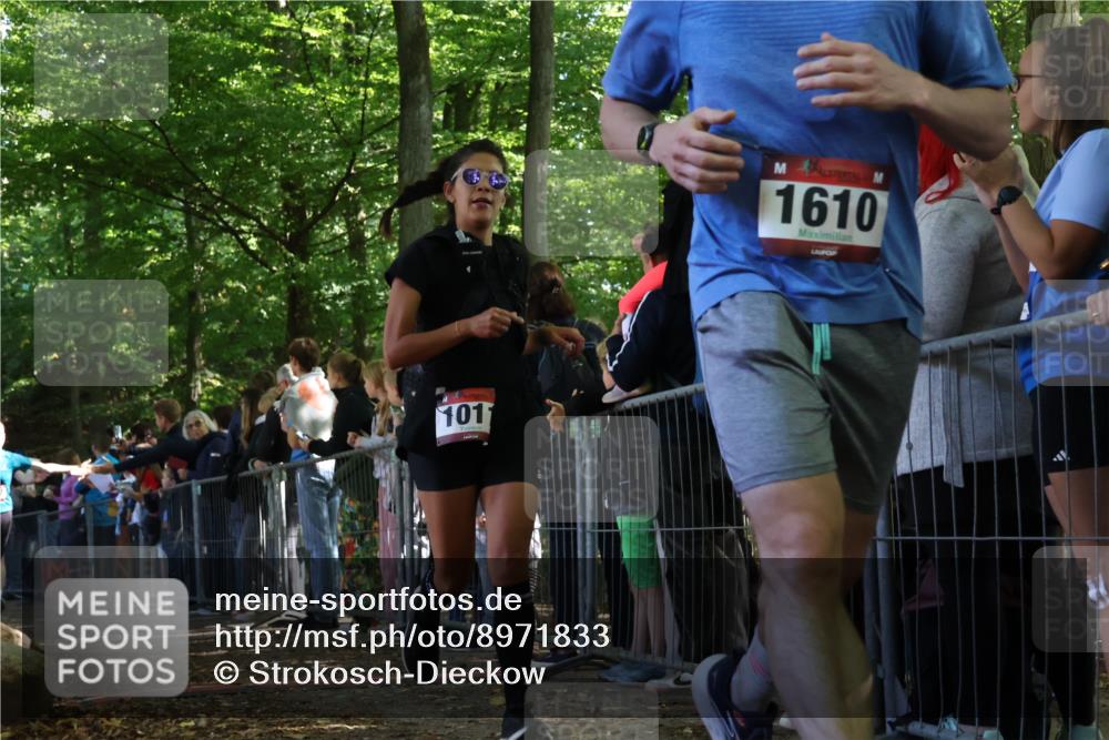 28.09.2025 - 33. Volkslauf durch das schöne Alstertal Strokosch-Dieckow http://msf.ph/oto/8971833 28.09.2025 11:54:30 Ziel 1011, 1017, 1610, 1637, 1679, 1698, 2635 meine-sportfotos.de