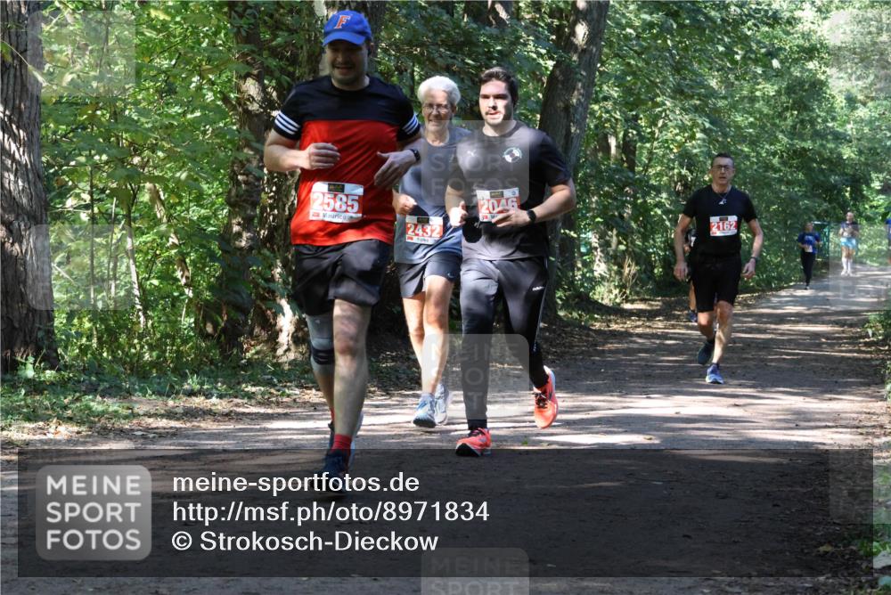 28.09.2025 - 33. Volkslauf durch das schöne Alstertal Strokosch-Dieckow http://msf.ph/oto/8971834 28.09.2025 12:23:05 Laufen 2585, 2432, 2046, 2162 meine-sportfotos.de