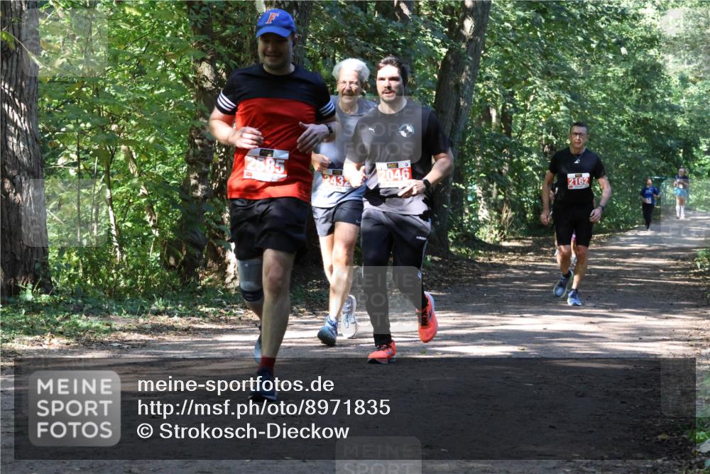28.09.2025 - 33. Volkslauf durch das schöne Alstertal Strokosch-Dieckow http://msf.ph/oto/8971835 28.09.2025 12:23:06 Laufen 2585, 2046, 2162, 2432 meine-sportfotos.de