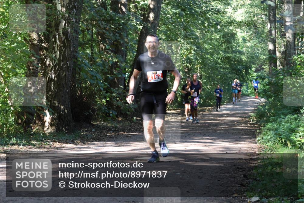 28.09.2025 - 33. Volkslauf durch das schöne Alstertal Strokosch-Dieckow http://msf.ph/oto/8971837 28.09.2025 12:23:08 Laufen 2162 meine-sportfotos.de