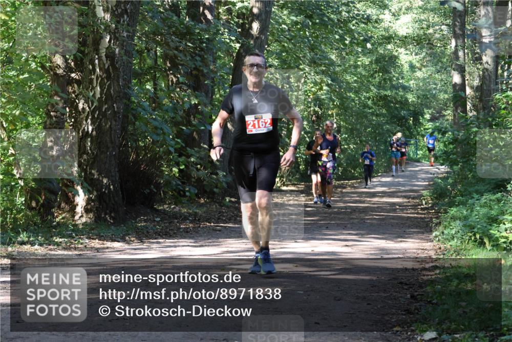 28.09.2025 - 33. Volkslauf durch das schöne Alstertal Strokosch-Dieckow http://msf.ph/oto/8971838 28.09.2025 12:23:08 Laufen 2162 meine-sportfotos.de