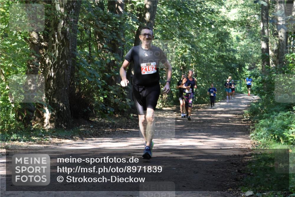 28.09.2025 - 33. Volkslauf durch das schöne Alstertal Strokosch-Dieckow http://msf.ph/oto/8971839 28.09.2025 12:23:08 Laufen 2162 meine-sportfotos.de