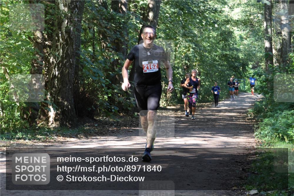 28.09.2025 - 33. Volkslauf durch das schöne Alstertal Strokosch-Dieckow http://msf.ph/oto/8971840 28.09.2025 12:23:08 Laufen 2162 meine-sportfotos.de