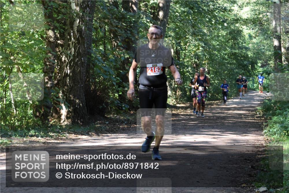 28.09.2025 - 33. Volkslauf durch das schöne Alstertal Strokosch-Dieckow http://msf.ph/oto/8971842 28.09.2025 12:23:08 Laufen 2162 meine-sportfotos.de