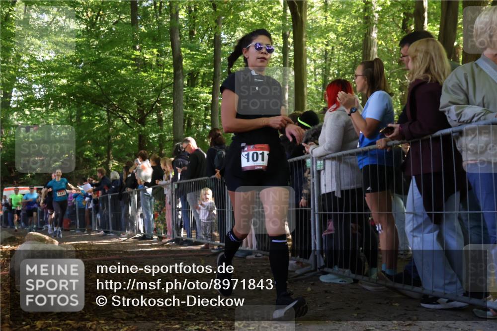 28.09.2025 - 33. Volkslauf durch das schöne Alstertal Strokosch-Dieckow http://msf.ph/oto/8971843 28.09.2025 11:54:31 Ziel 1011, 1017, 1610, 1637, 1679, 1698, 2635 meine-sportfotos.de
