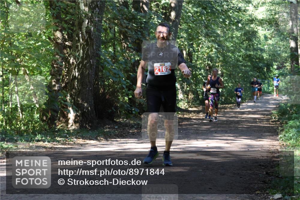28.09.2025 - 33. Volkslauf durch das schöne Alstertal Strokosch-Dieckow http://msf.ph/oto/8971844 28.09.2025 12:23:08 Laufen 2162 meine-sportfotos.de