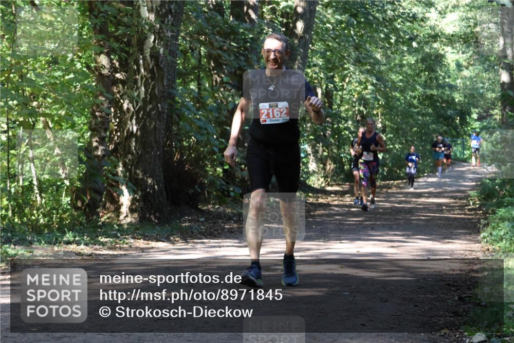 28.09.2025 - 33. Volkslauf durch das schöne Alstertal Strokosch-Dieckow http://msf.ph/oto/8971845 28.09.2025 12:23:08 Laufen 2162 meine-sportfotos.de