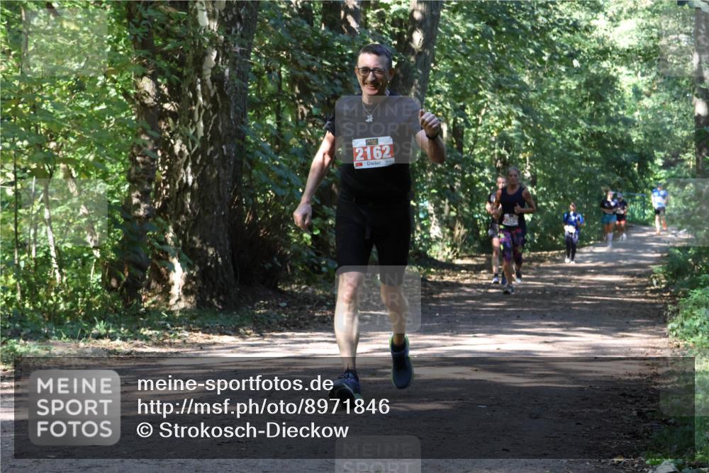 28.09.2025 - 33. Volkslauf durch das schöne Alstertal Strokosch-Dieckow http://msf.ph/oto/8971846 28.09.2025 12:23:09 Laufen 2162 meine-sportfotos.de
