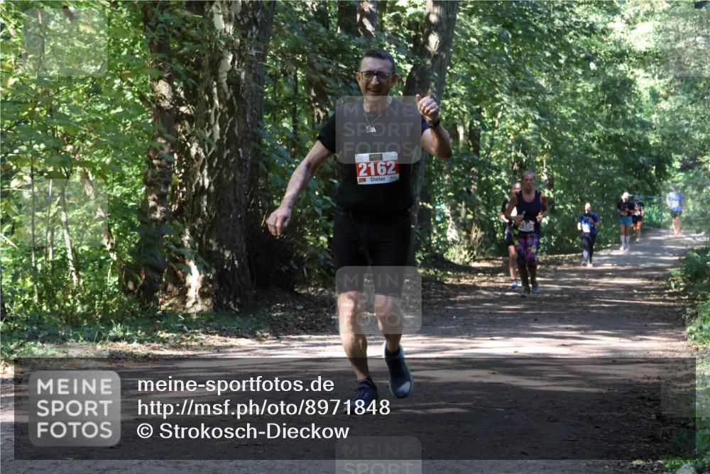 28.09.2025 - 33. Volkslauf durch das schöne Alstertal Strokosch-Dieckow http://msf.ph/oto/8971848 28.09.2025 12:23:09 Laufen 751, 2162 meine-sportfotos.de