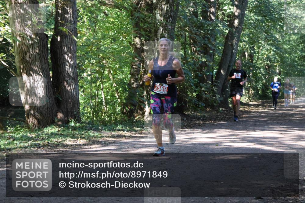 28.09.2025 - 33. Volkslauf durch das schöne Alstertal Strokosch-Dieckow http://msf.ph/oto/8971849 28.09.2025 12:23:14 Laufen 2569, 2516 meine-sportfotos.de