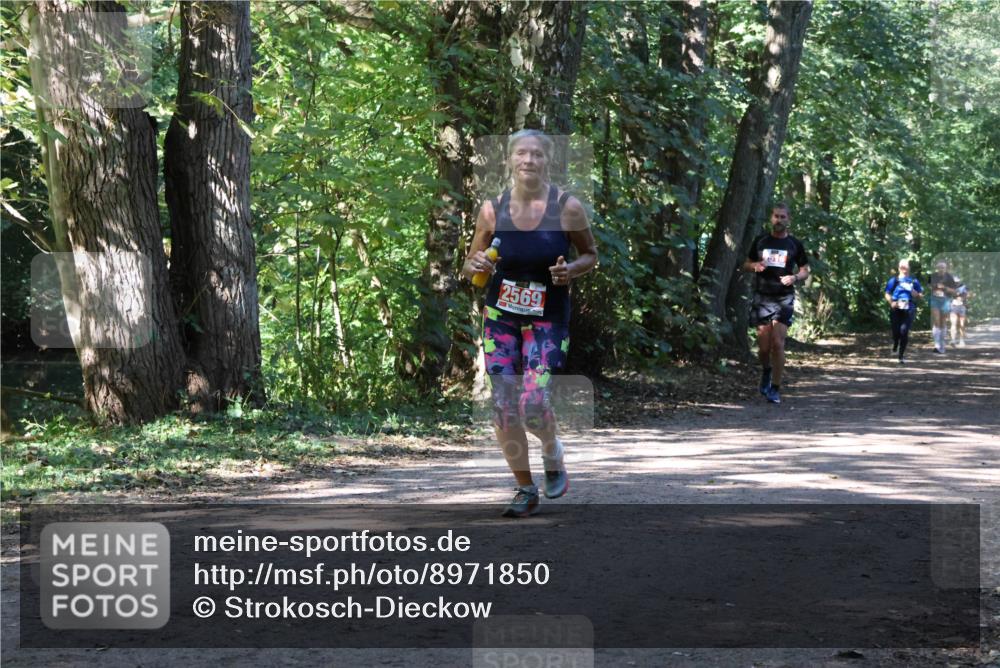 28.09.2025 - 33. Volkslauf durch das schöne Alstertal Strokosch-Dieckow http://msf.ph/oto/8971850 28.09.2025 12:23:14 Laufen 2569 meine-sportfotos.de
