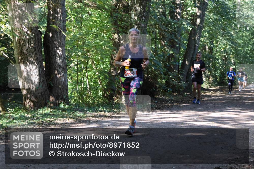 28.09.2025 - 33. Volkslauf durch das schöne Alstertal Strokosch-Dieckow http://msf.ph/oto/8971852 28.09.2025 12:23:14 Laufen 2569 meine-sportfotos.de
