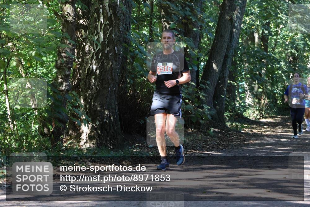 28.09.2025 - 33. Volkslauf durch das schöne Alstertal Strokosch-Dieckow http://msf.ph/oto/8971853 28.09.2025 12:23:17 Laufen 2516 meine-sportfotos.de