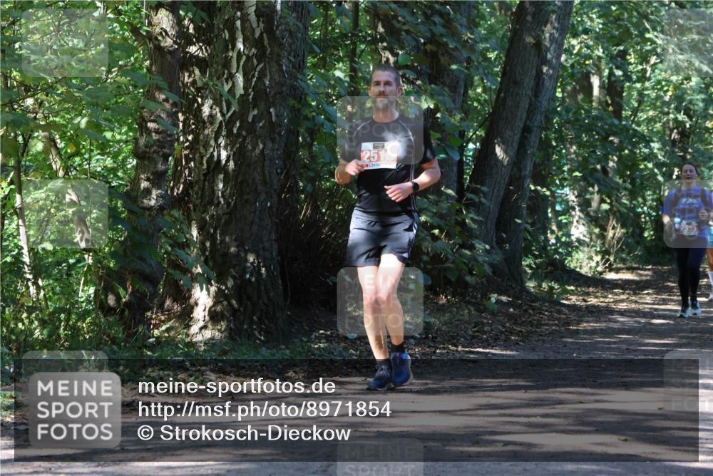 28.09.2025 - 33. Volkslauf durch das schöne Alstertal Strokosch-Dieckow http://msf.ph/oto/8971854 28.09.2025 12:23:17 Laufen 2516 meine-sportfotos.de