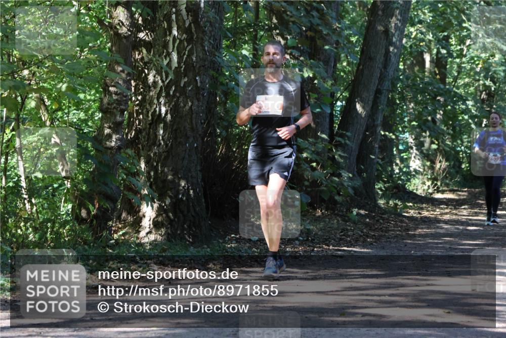 28.09.2025 - 33. Volkslauf durch das schöne Alstertal Strokosch-Dieckow http://msf.ph/oto/8971855 28.09.2025 12:23:17 Laufen  meine-sportfotos.de