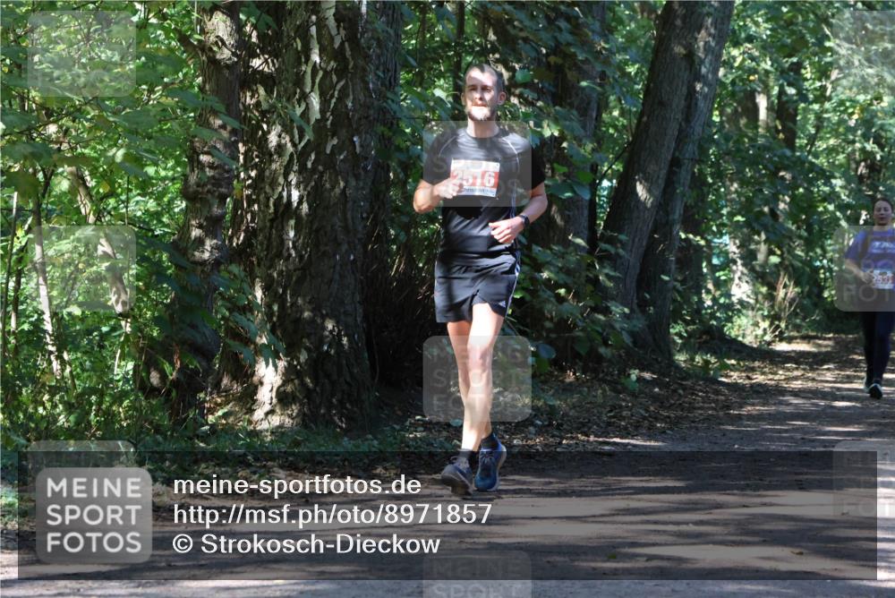 28.09.2025 - 33. Volkslauf durch das schöne Alstertal Strokosch-Dieckow http://msf.ph/oto/8971857 28.09.2025 12:23:17 Laufen 2516 meine-sportfotos.de