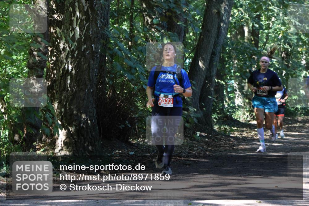 28.09.2025 - 33. Volkslauf durch das schöne Alstertal Strokosch-Dieckow http://msf.ph/oto/8971859 28.09.2025 12:23:22 Laufen 2533, 106, 94 meine-sportfotos.de