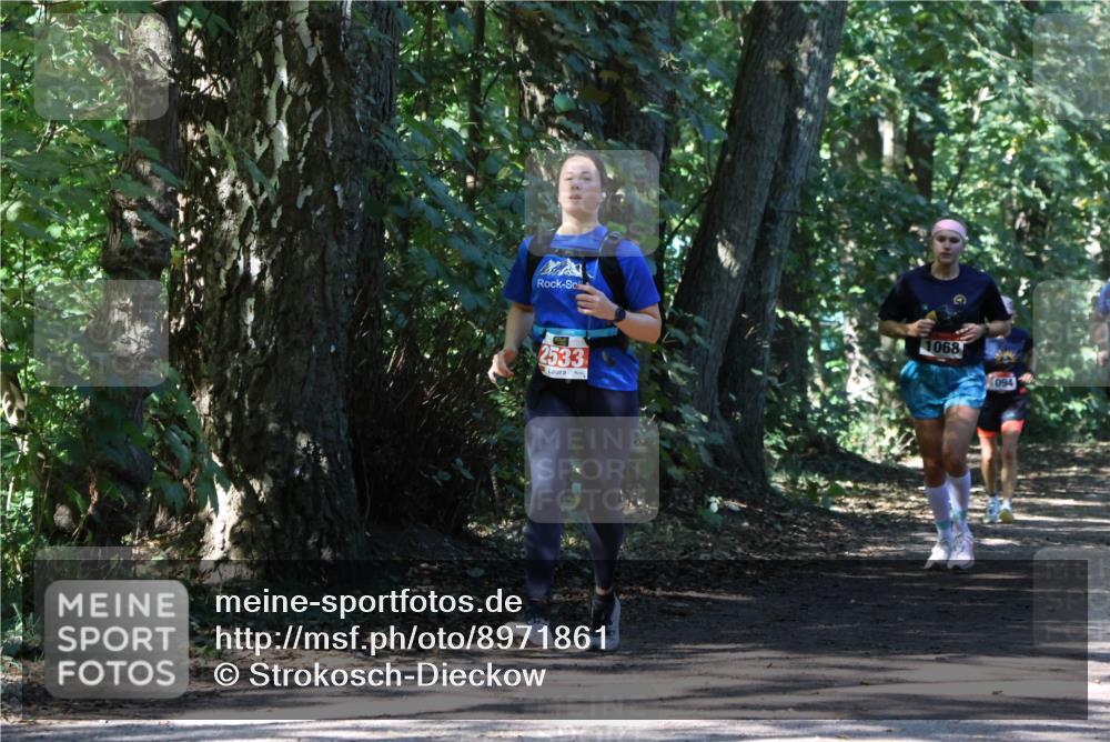 28.09.2025 - 33. Volkslauf durch das schöne Alstertal Strokosch-Dieckow http://msf.ph/oto/8971861 28.09.2025 12:23:22 Laufen 2533, 1068, 094 meine-sportfotos.de