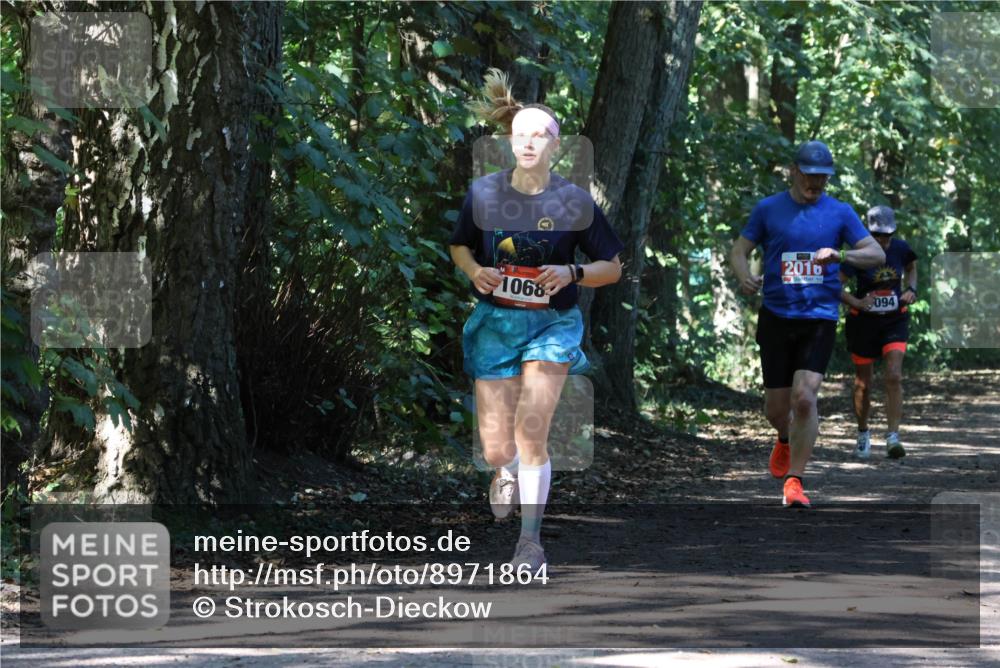 28.09.2025 - 33. Volkslauf durch das schöne Alstertal Strokosch-Dieckow http://msf.ph/oto/8971864 28.09.2025 12:23:25 Laufen 1068, 2016, 094 meine-sportfotos.de