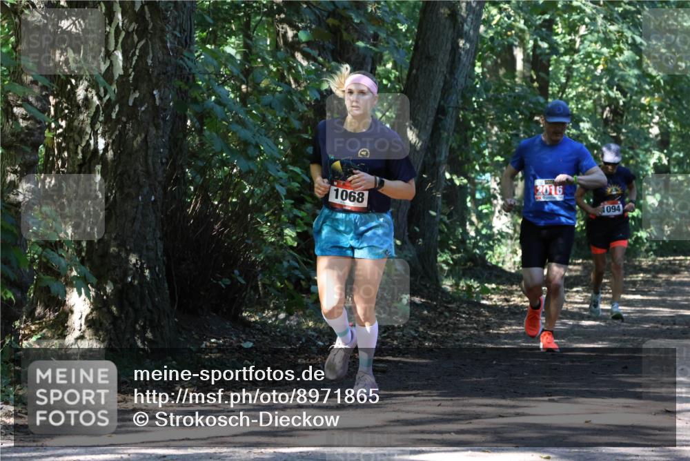 28.09.2025 - 33. Volkslauf durch das schöne Alstertal Strokosch-Dieckow http://msf.ph/oto/8971865 28.09.2025 12:23:25 Laufen 1068, 2016, 094 meine-sportfotos.de
