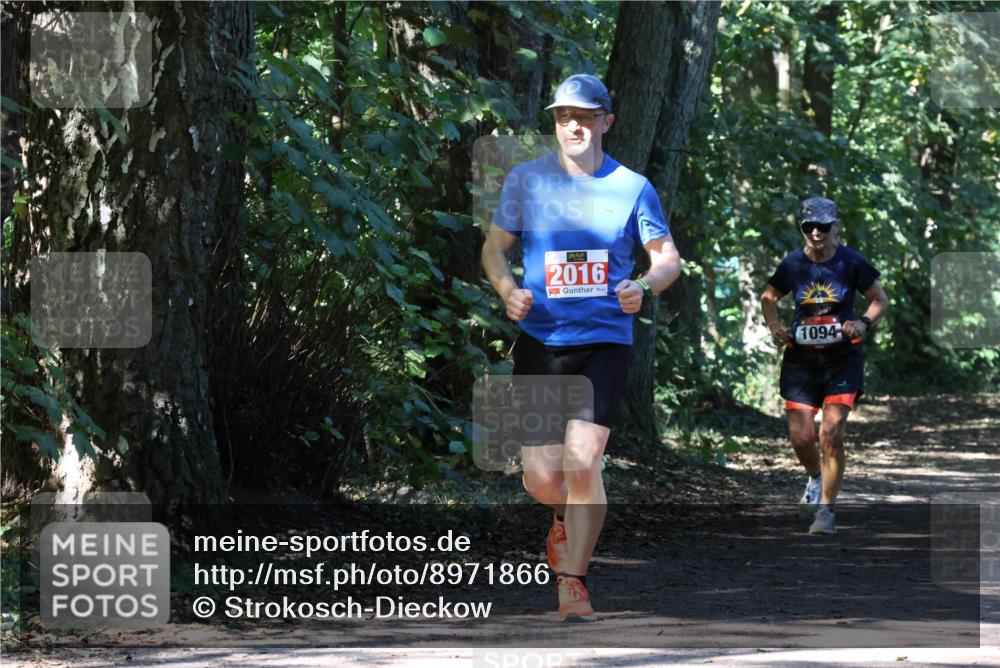 28.09.2025 - 33. Volkslauf durch das schöne Alstertal Strokosch-Dieckow http://msf.ph/oto/8971866 28.09.2025 12:23:27 Laufen 2016, 1094 meine-sportfotos.de