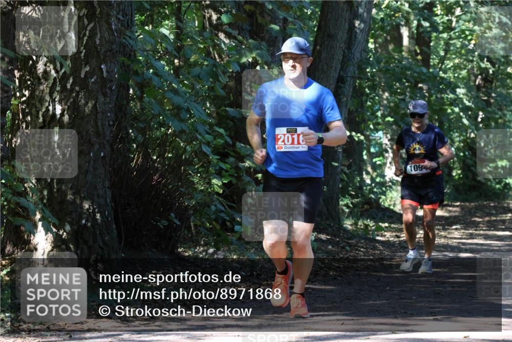 28.09.2025 - 33. Volkslauf durch das schöne Alstertal Strokosch-Dieckow http://msf.ph/oto/8971868 28.09.2025 12:23:27 Laufen 2016, 109 meine-sportfotos.de