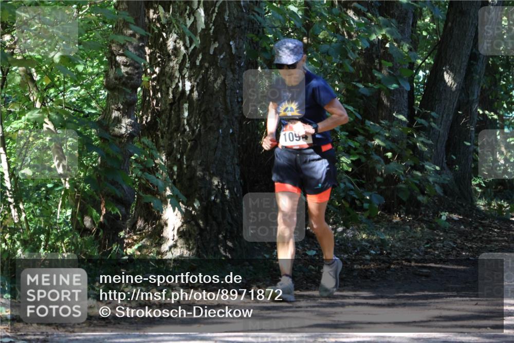 28.09.2025 - 33. Volkslauf durch das schöne Alstertal Strokosch-Dieckow http://msf.ph/oto/8971872 28.09.2025 12:23:31 Laufen 109 meine-sportfotos.de