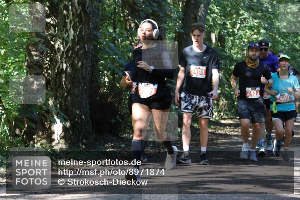 28.09.2025 - 33. Volkslauf durch das schöne Alstertal Strokosch-Dieckow http://msf.ph/oto/8971874 28.09.2025 12:23:54 Laufen 2498, 2450, 2449 meine-sportfotos.de