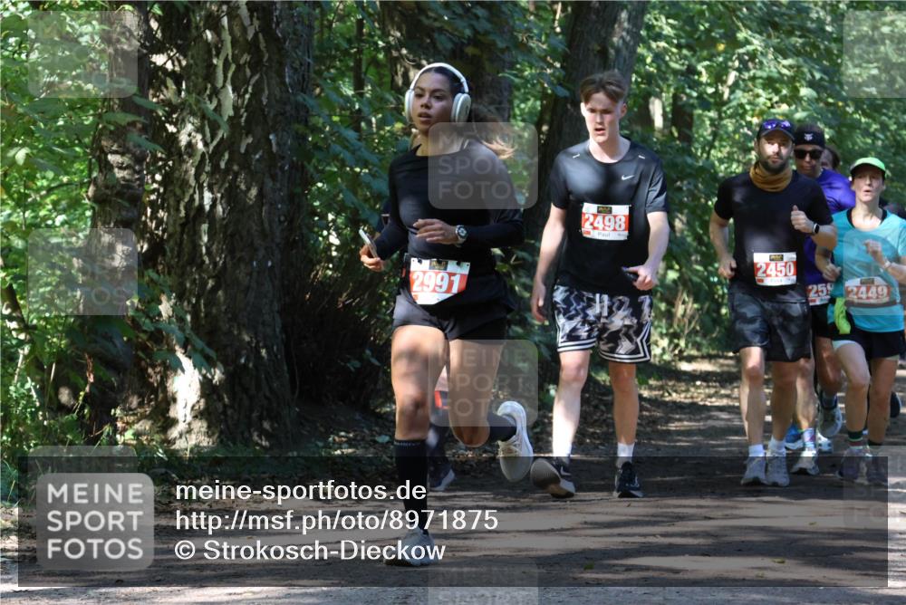 28.09.2025 - 33. Volkslauf durch das schöne Alstertal Strokosch-Dieckow http://msf.ph/oto/8971875 28.09.2025 12:23:54 Laufen 2991, 2498, 2450, 25, 2449 meine-sportfotos.de
