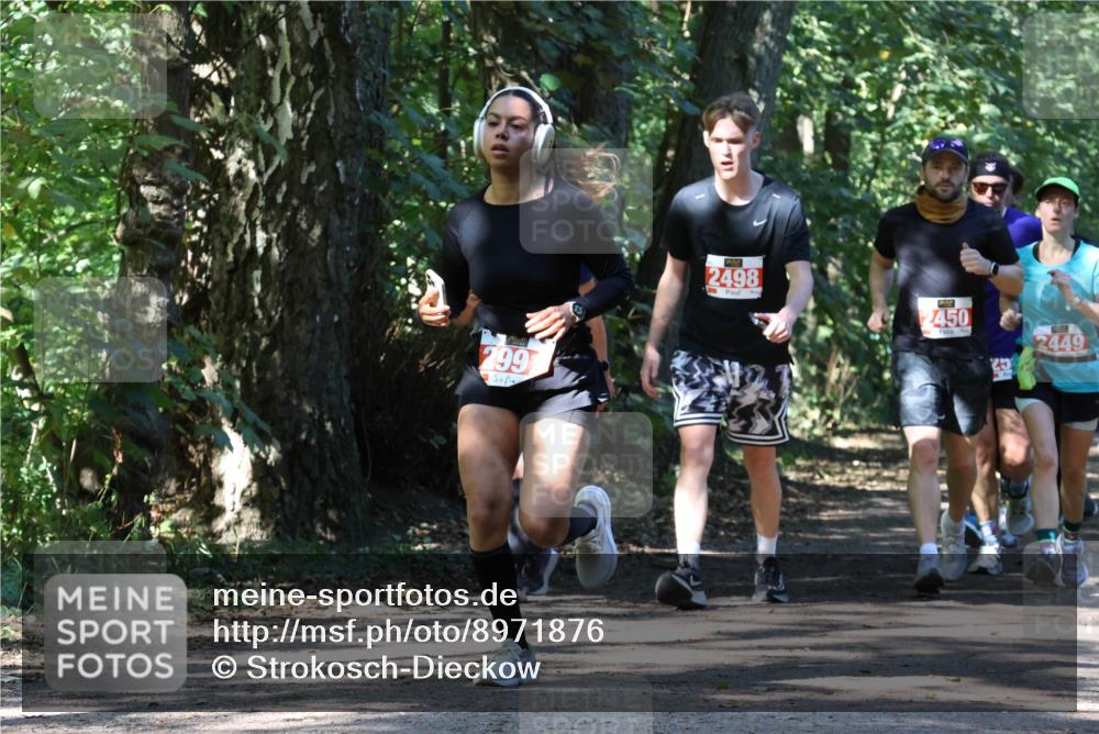 28.09.2025 - 33. Volkslauf durch das schöne Alstertal Strokosch-Dieckow http://msf.ph/oto/8971876 28.09.2025 12:23:55 Laufen 799, 2498, 3, 2450, 2449 meine-sportfotos.de