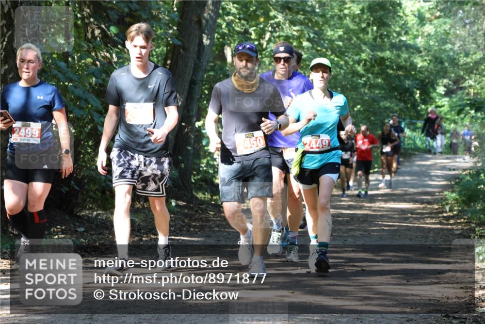 28.09.2025 - 33. Volkslauf durch das schöne Alstertal Strokosch-Dieckow http://msf.ph/oto/8971877 28.09.2025 12:23:56 Laufen 2499, 450, 2449 meine-sportfotos.de