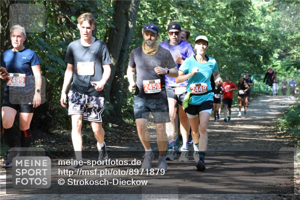 28.09.2025 - 33. Volkslauf durch das schöne Alstertal Strokosch-Dieckow http://msf.ph/oto/8971879 28.09.2025 12:23:56 Laufen 2499, 2450, 2449 meine-sportfotos.de