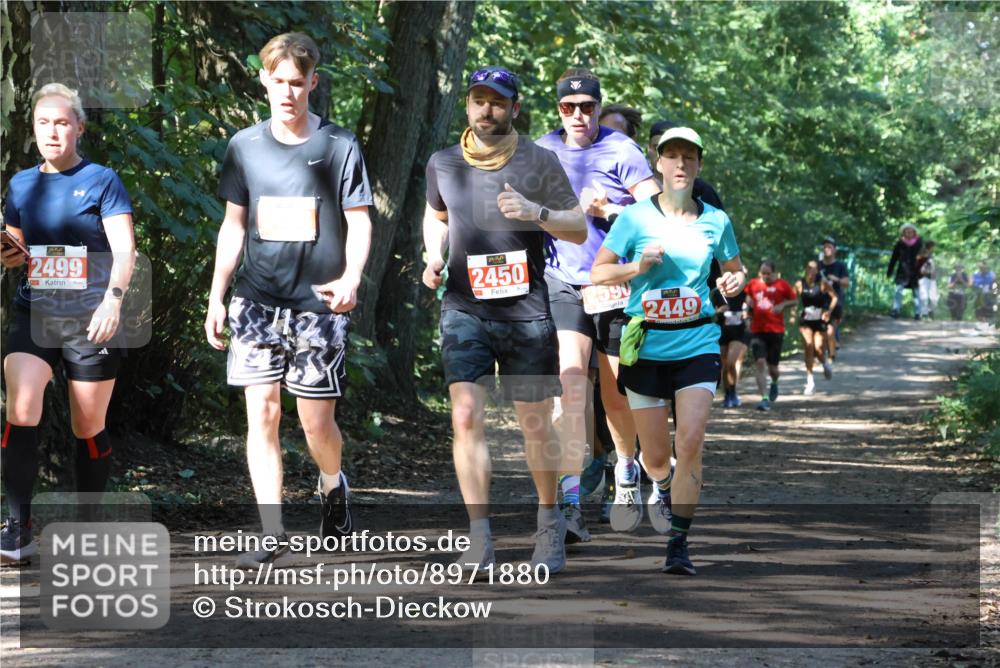 28.09.2025 - 33. Volkslauf durch das schöne Alstertal Strokosch-Dieckow http://msf.ph/oto/8971880 28.09.2025 12:23:56 Laufen 2499, 2450, 2590, 1, 2449 meine-sportfotos.de