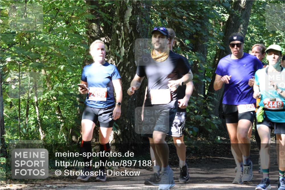 28.09.2025 - 33. Volkslauf durch das schöne Alstertal Strokosch-Dieckow http://msf.ph/oto/8971881 28.09.2025 12:23:57 Laufen 90, 2449 meine-sportfotos.de