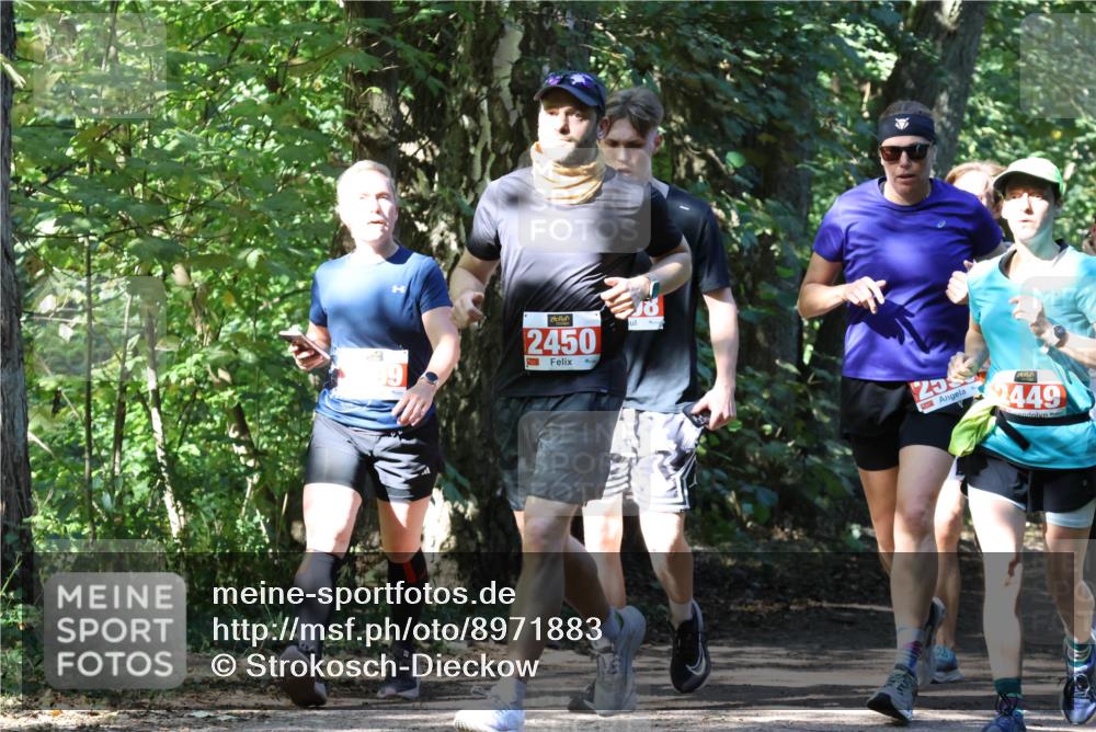 28.09.2025 - 33. Volkslauf durch das schöne Alstertal Strokosch-Dieckow http://msf.ph/oto/8971883 28.09.2025 12:23:57 Laufen 2450, 25, 2449 meine-sportfotos.de