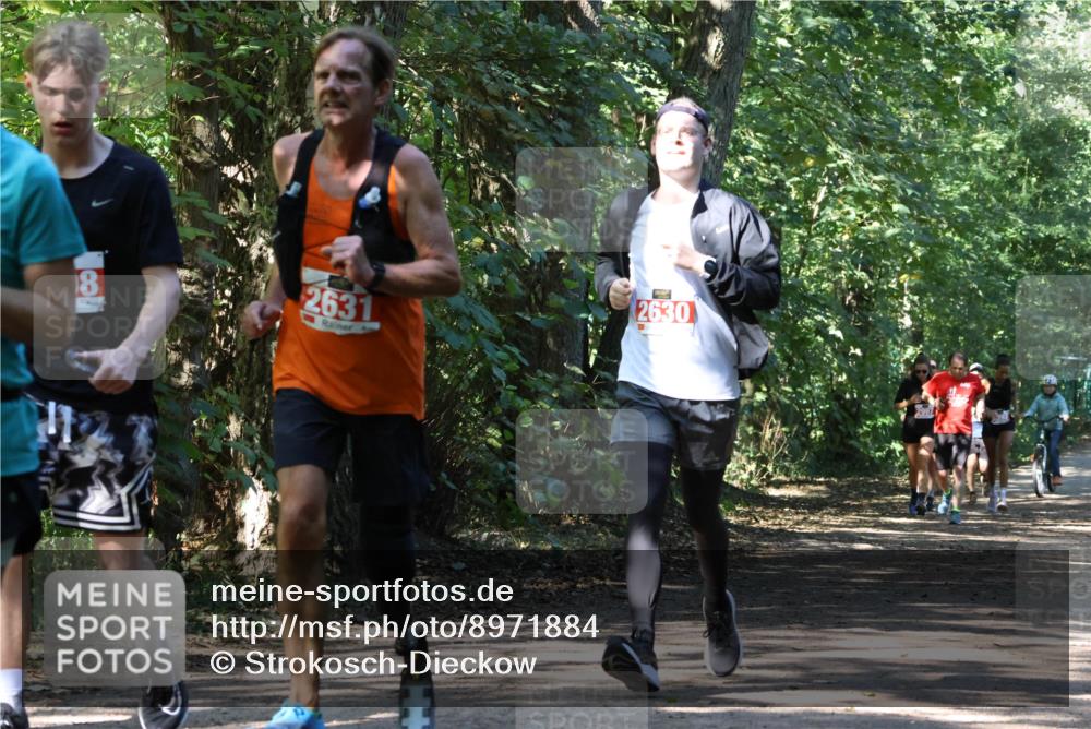 28.09.2025 - 33. Volkslauf durch das schöne Alstertal Strokosch-Dieckow http://msf.ph/oto/8971884 28.09.2025 12:23:59 Laufen 8, 2631, 2630 meine-sportfotos.de