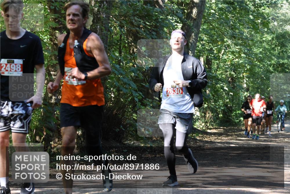 28.09.2025 - 33. Volkslauf durch das schöne Alstertal Strokosch-Dieckow http://msf.ph/oto/8971886 28.09.2025 12:23:59 Laufen 2498, 2630 meine-sportfotos.de
