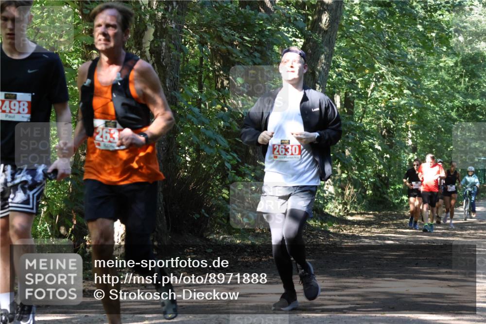 28.09.2025 - 33. Volkslauf durch das schöne Alstertal Strokosch-Dieckow http://msf.ph/oto/8971888 28.09.2025 12:23:59 Laufen 2498, 263, 2630 meine-sportfotos.de