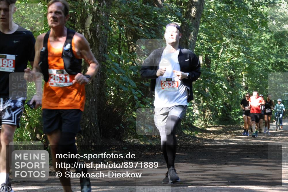 28.09.2025 - 33. Volkslauf durch das schöne Alstertal Strokosch-Dieckow http://msf.ph/oto/8971889 28.09.2025 12:23:59 Laufen 198, 2631, 2630 meine-sportfotos.de