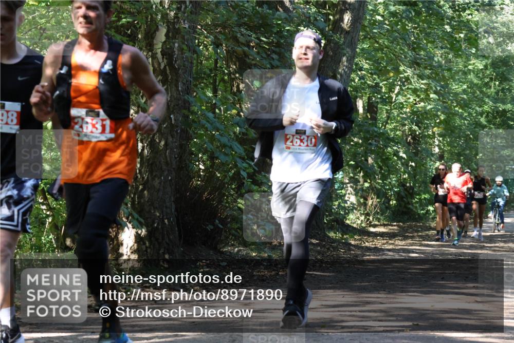 28.09.2025 - 33. Volkslauf durch das schöne Alstertal Strokosch-Dieckow http://msf.ph/oto/8971890 28.09.2025 12:23:59 Laufen 98, 2631, 2630 meine-sportfotos.de