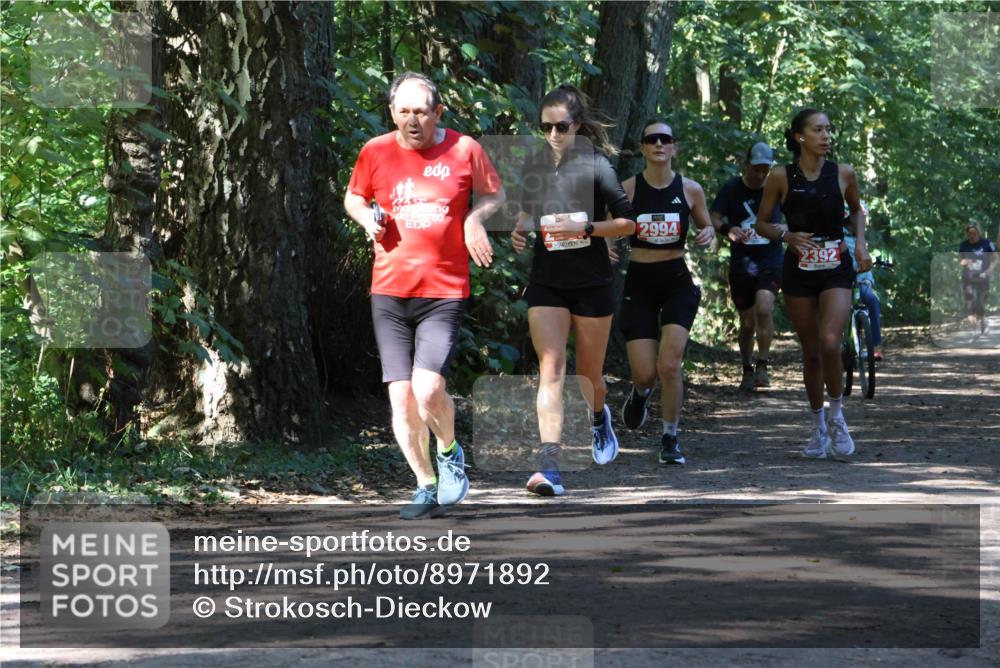 28.09.2025 - 33. Volkslauf durch das schöne Alstertal Strokosch-Dieckow http://msf.ph/oto/8971892 28.09.2025 12:24:08 Laufen 2994, 2392 meine-sportfotos.de