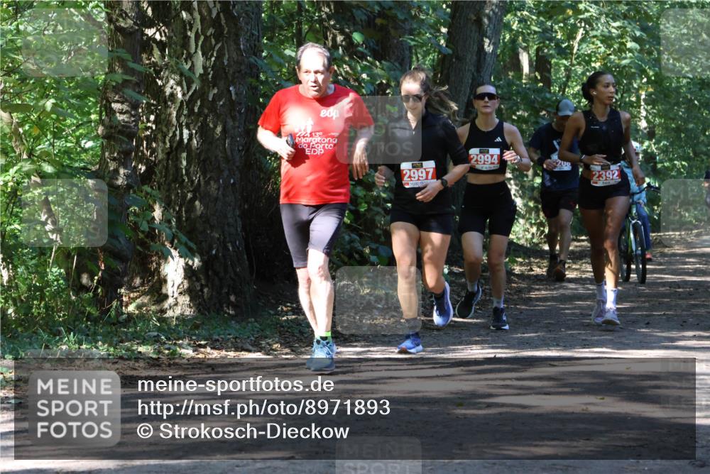 28.09.2025 - 33. Volkslauf durch das schöne Alstertal Strokosch-Dieckow http://msf.ph/oto/8971893 28.09.2025 12:24:08 Laufen 139, 2997, 2994, 200, 2392 meine-sportfotos.de