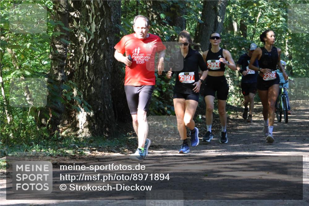 28.09.2025 - 33. Volkslauf durch das schöne Alstertal Strokosch-Dieckow http://msf.ph/oto/8971894 28.09.2025 12:24:08 Laufen 139, 2997, 2994, 200, 2392, 1 meine-sportfotos.de